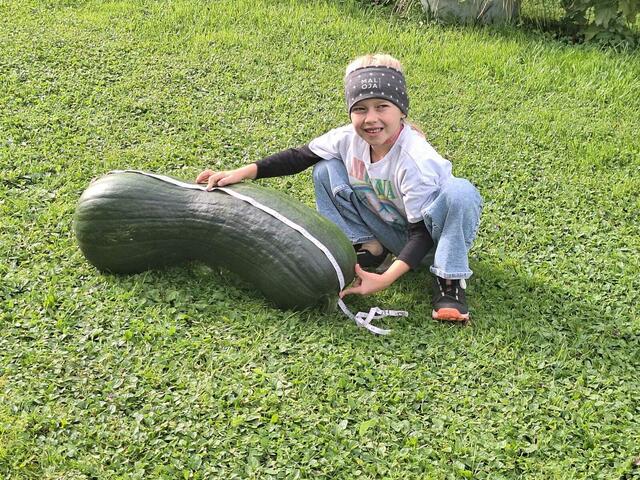 Ganz schön groß, der Kürbis, den Bezirkssiegerin Linnea Heim von der VS Pinswang präsentiert. | Foto: Grünes Tirol
