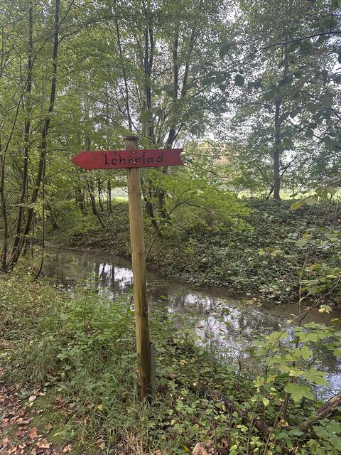 Der Lehrpfad in der Puchheimer Au soll erneuert werden.  | Foto: Stadtgemeinde Attnang-Puchheim