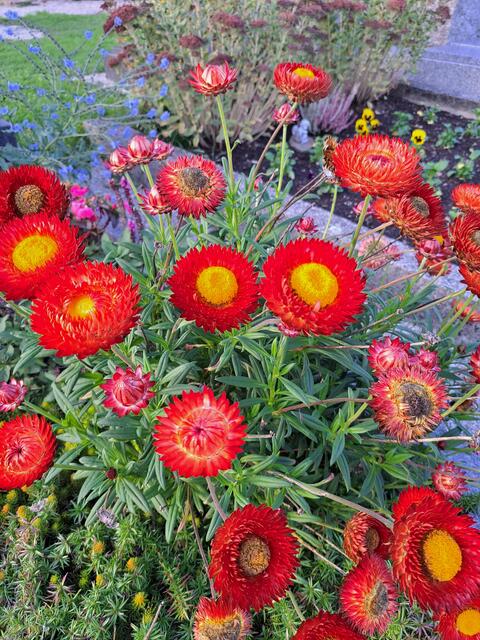 Impressionen vom Friedhof in Randegg. | Foto: Stefanie Machtinger