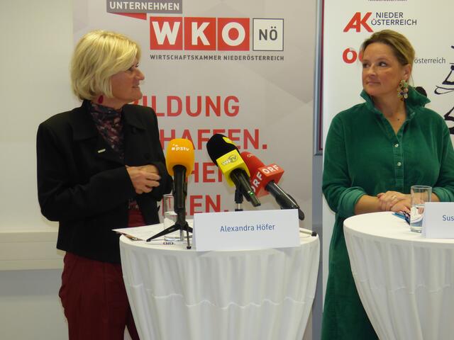 Foto: Plavec-Liska