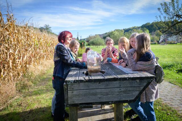 Foto: Naturpark Raab