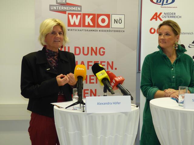 Foto: Plavec-Liska