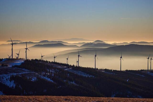 Hauptpreis Kategorie 4 – Natur im Windpark von Robert Rosenbichler | Foto: Robert Rosenbichler