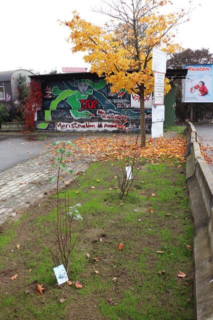 Foto: Edith Ertl