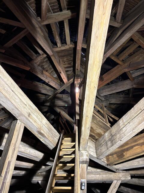 Foto: Barbara Fluckinger