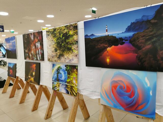 Karitative Ausstellung, Graz, Center West