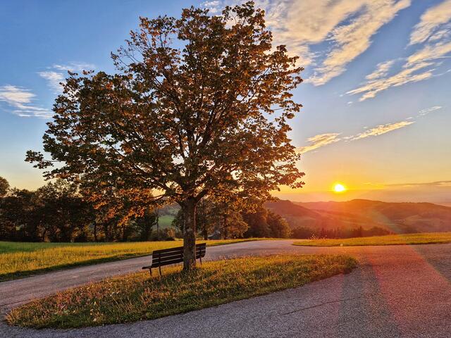 Abendsonne am Kerschenberg, Reinsberg | Foto: Christian Hahn