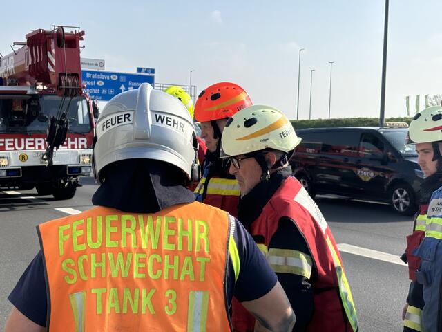 Die Bergung wurde von den Feuerwehren Schwechat und Mödling durchgeführt. | Foto: FF Schwechat