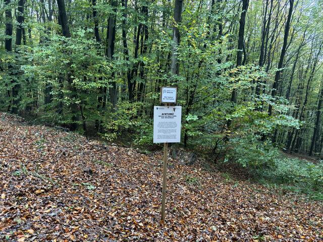 Neben dem Friedhof für Menschen gibt es nebenbei auch einen Platz für verstorbene Haustiere. | Foto: Nina Taurok