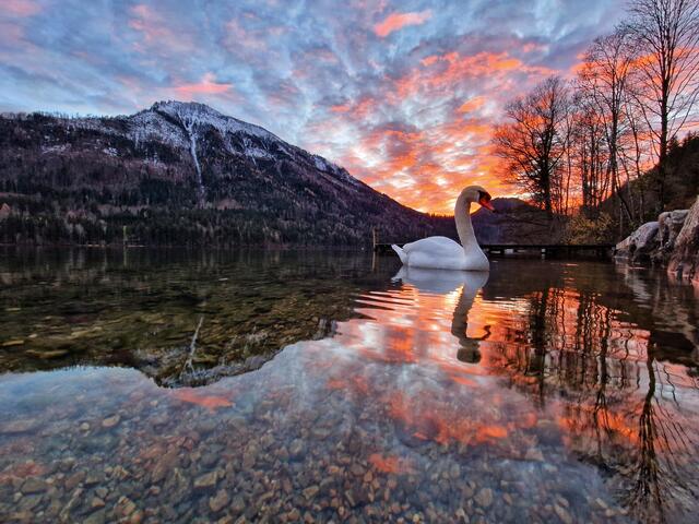 Abendstimmung am Lunzer See | Foto: Christian Hahn
