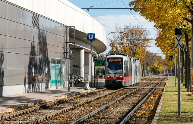 Die Linie 25 kann am Freitagnachmittag nur verkürzt verkehren. Schuld ist ein "Wasserrohrgebrechen", heißt es bei den Wiener Linien. (Symbolfoto) | Foto: Manfred Helmer/Wiener Linien