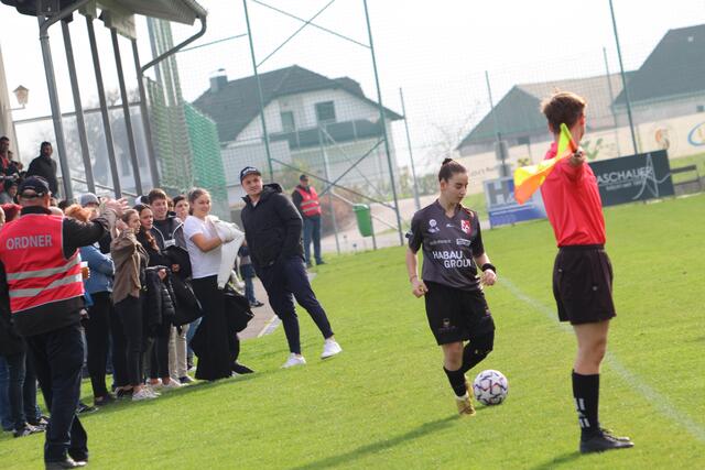 Foto: MeinBezirk Perg/Köck