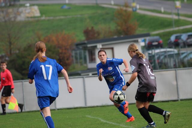 Foto: MeinBezirk Perg/Köck