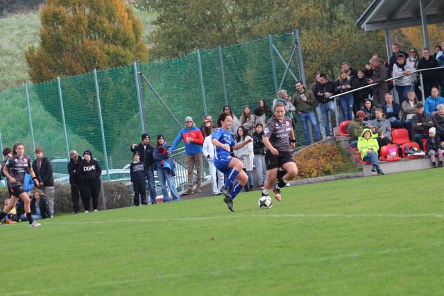 Foto: MeinBezirk Perg/Köck