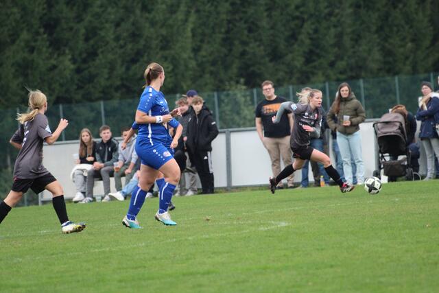 Foto: MeinBezirk Perg/Köck