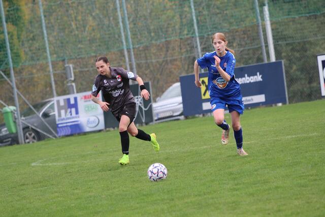 Foto: MeinBezirk Perg/Köck