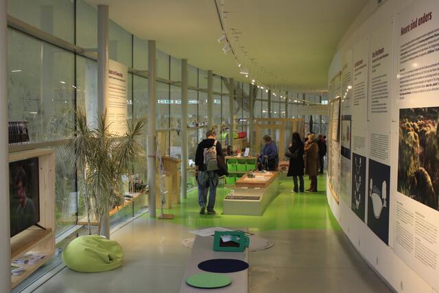 Foto: Walter Kellner