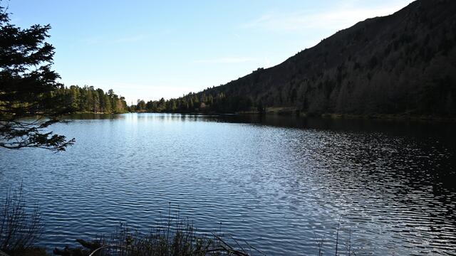 Foto: Norbert Ortner