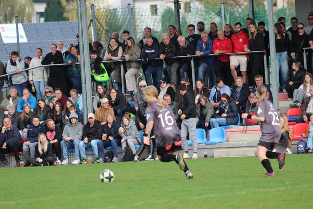 Foto: MeinBezirk Perg/Köck