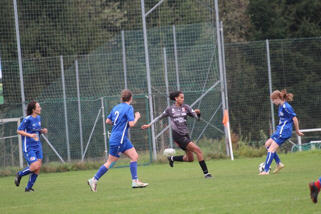 Foto: MeinBezirk Perg/Köck