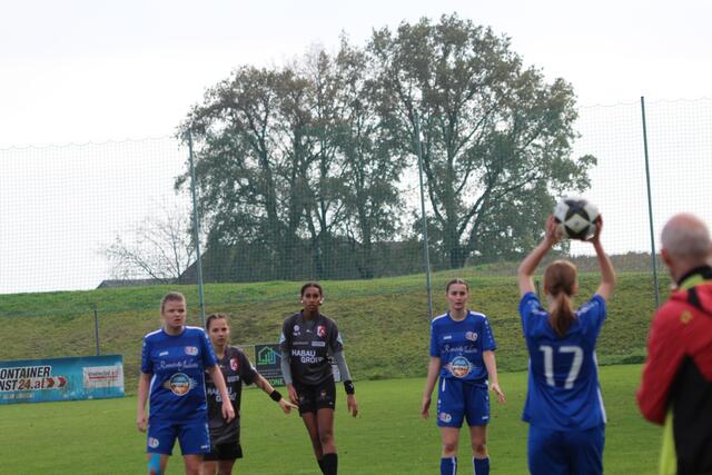 Foto: MeinBezirk Perg/Köck