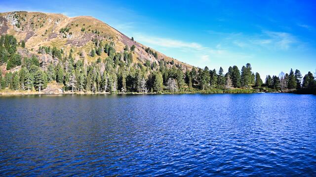 Foto: Norbert Ortner