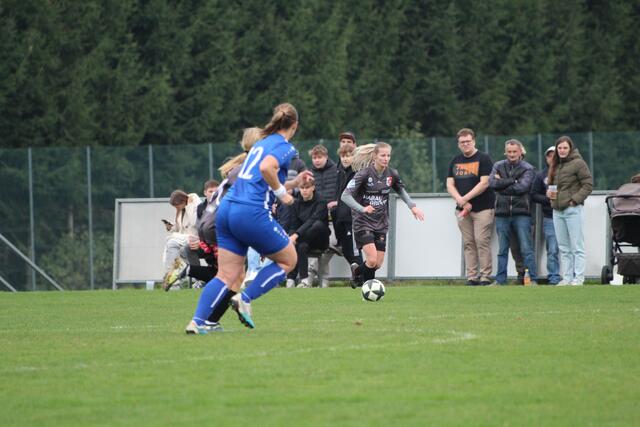 Foto: MeinBezirk Perg/Köck