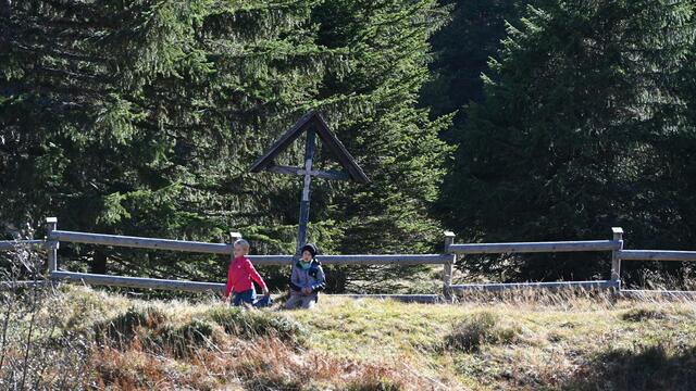 Foto: Norbert Ortner