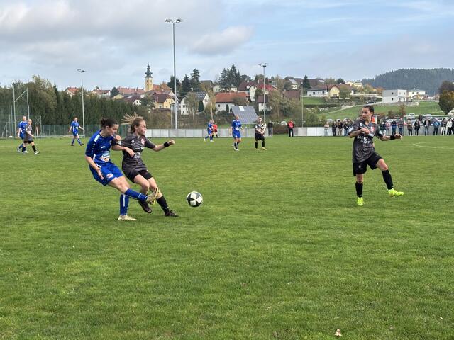 Foto: MeinBezirk Perg/Köck