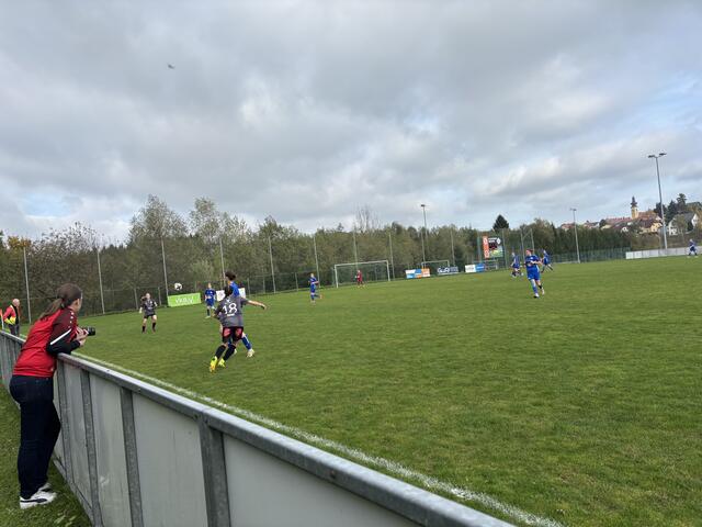 Foto: MeinBezirk Perg/Köck