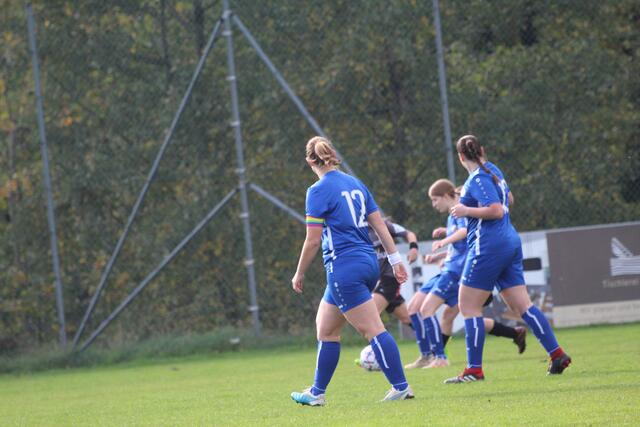 Foto: MeinBezirk Perg/Köck