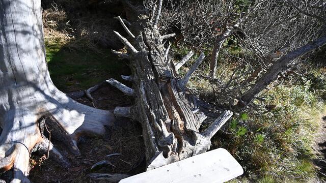 Foto: Norbert Ortner