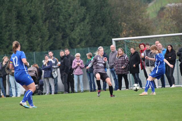 Foto: MeinBezirk Perg/Köck