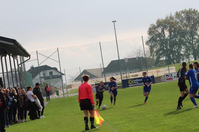 Foto: MeinBezirk Perg/Köck