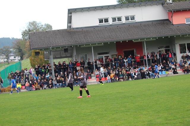 Foto: MeinBezirk Perg/Köck