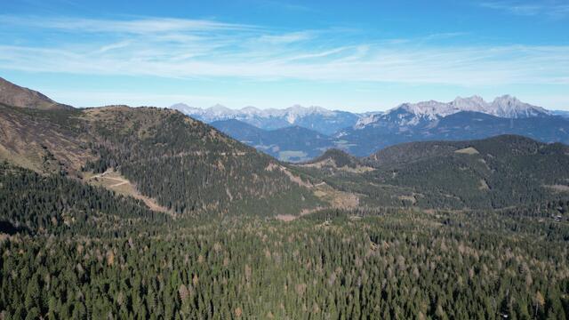 Foto: Norbert Ortner