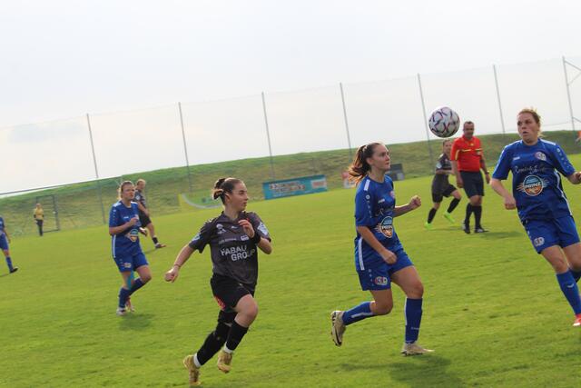 Foto: MeinBezirk Perg/Köck