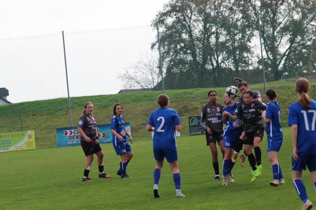 Foto: MeinBezirk Perg/Köck