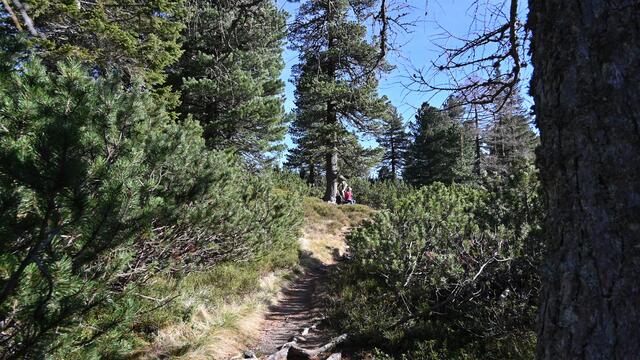 Foto: Norbert Ortner