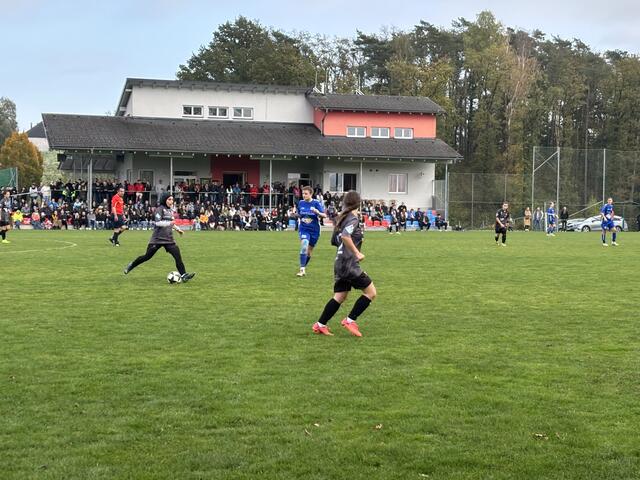 Foto: MeinBezirk Perg/Köck