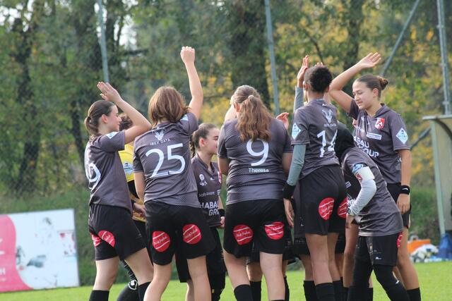 Foto: MeinBezirk Perg/Köck