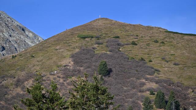 Foto: Norbert Ortner