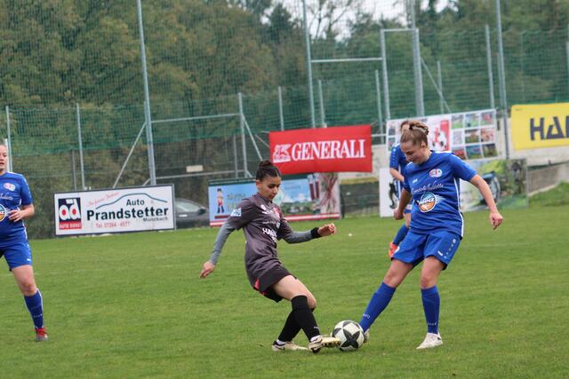 Foto: MeinBezirk Perg/Köck