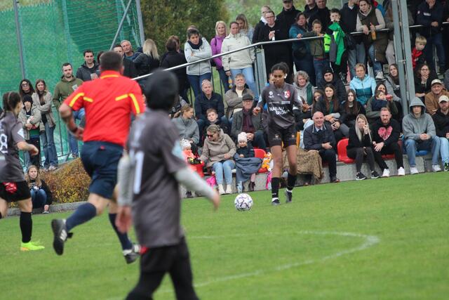 Foto: MeinBezirk Perg/Köck