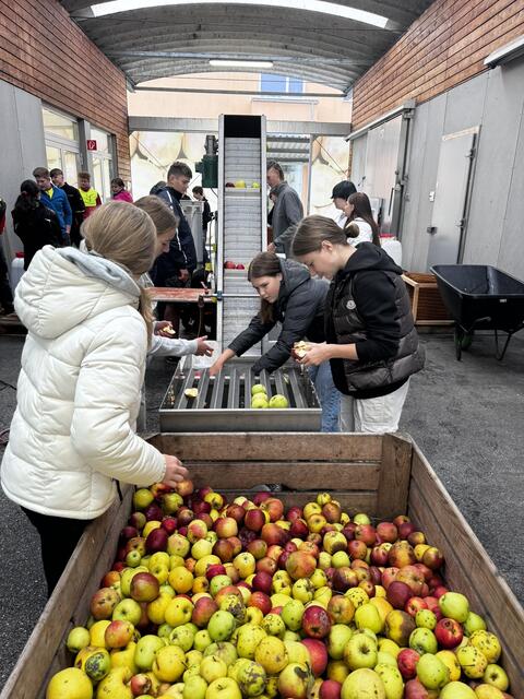 Foto: LFS St. Andrä