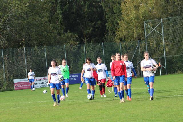 Foto: MeinBezirk Perg/Köck