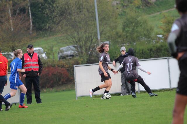 Foto: MeinBezirk Perg/Köck