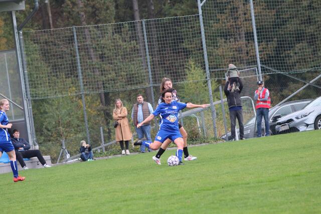 Foto: MeinBezirk Perg/Köck