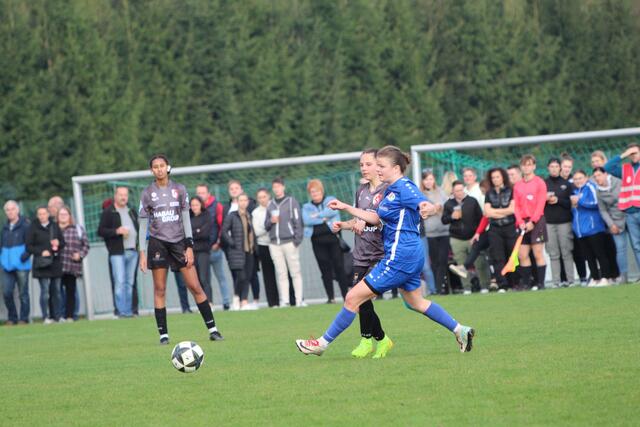 Foto: MeinBezirk Perg/Köck