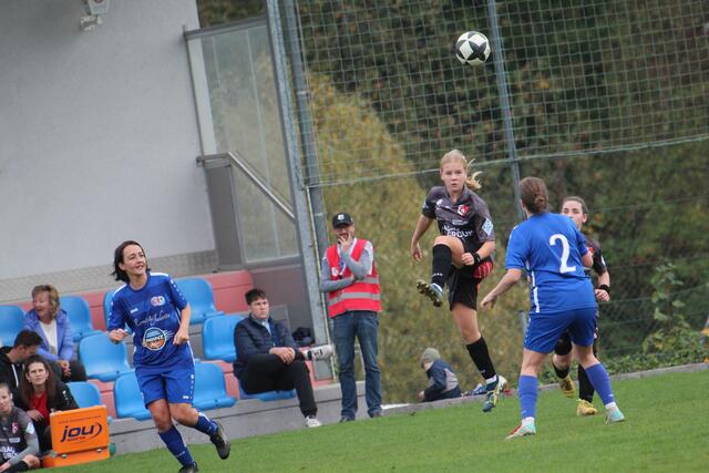 Foto: MeinBezirk Perg/Köck